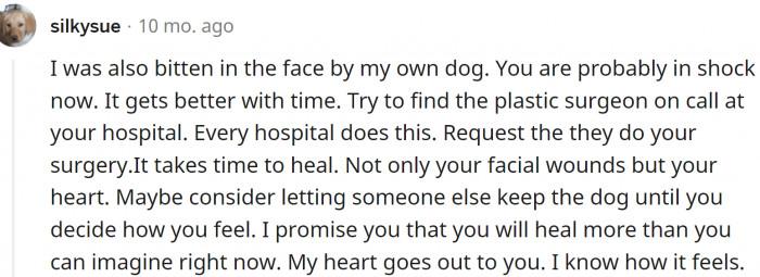 People who were bitten shared their experiences: