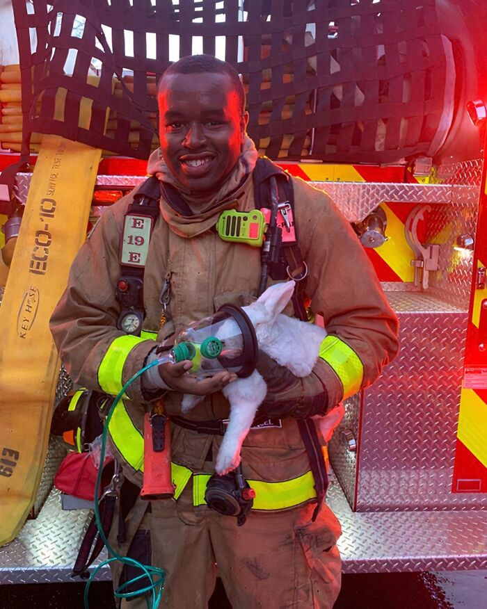 "Firefighter Owens Using A Pet Oxygen Mask On One-Of-The Cute Rescued From Fire Bunnies!"
