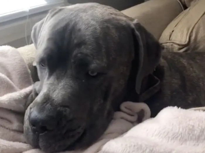 11. When the Food Is Good, but the Nap Is Just as Good