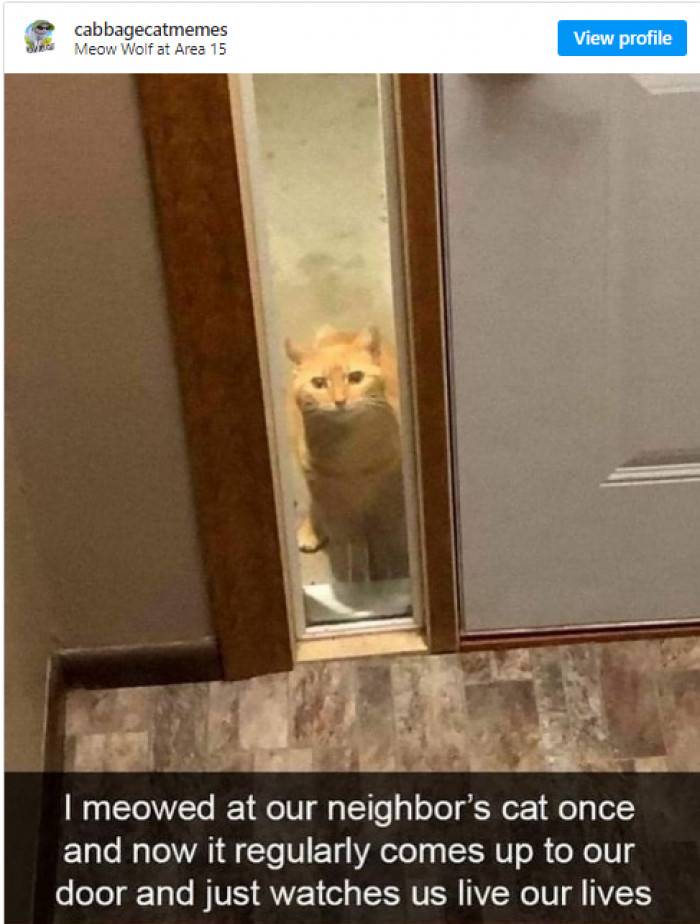 7. It's just a friendly neighbor being neighborly and cute at the same time