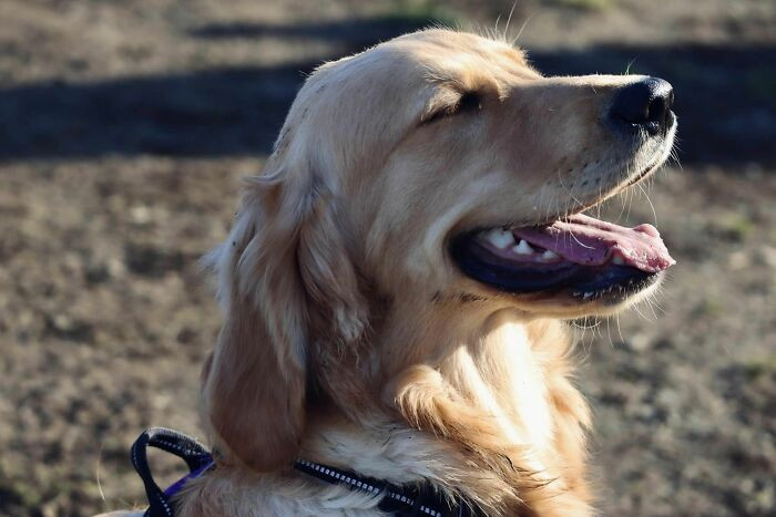 32. Goodest Girl Named Summer, Met Her Today