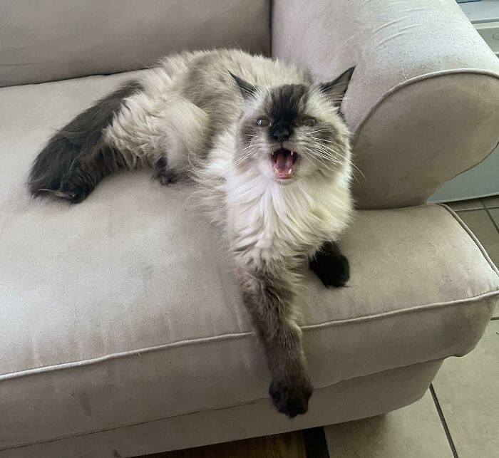 22. This boy is celebrating his 14th birthday.