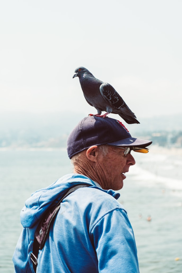How Long Do Parrots Live?