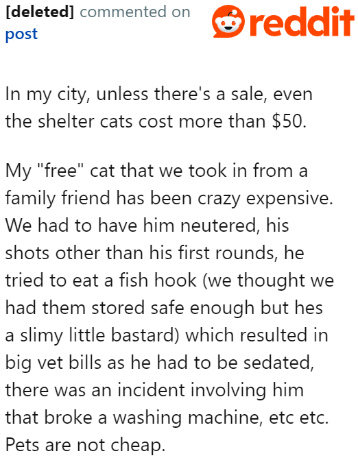 If the CB is already complaining about her tight budget, then why add insult to injury by getting a high-maintenance cat?