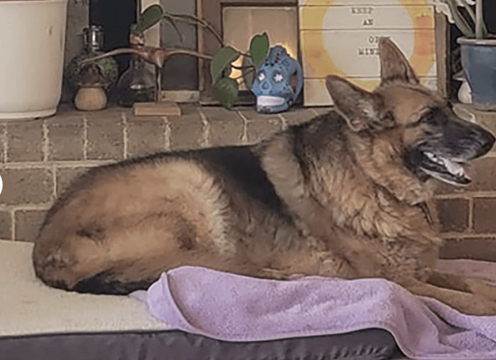 Ellie is now living a happier life