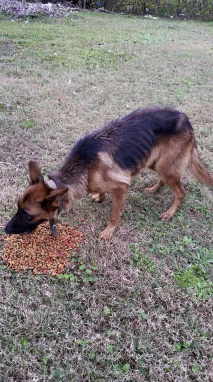 2. Ellie's Transformation