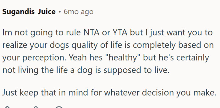 Is he living the life a dog is supposed to live?