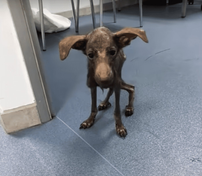 The Process of Healing