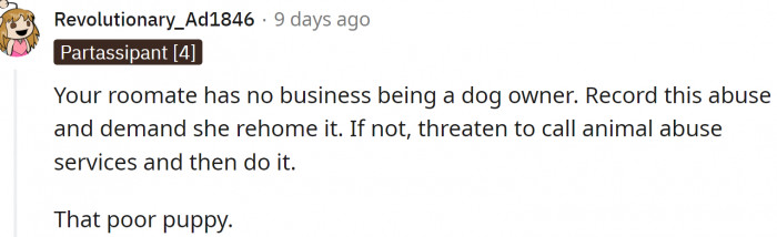 OP should record the abuse