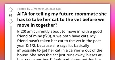 Moment Lady Told Future Roommate To Either Take Her Cat To The Vet Or She Won't Move In With Her