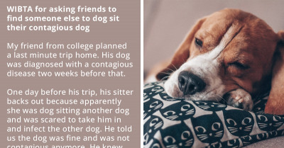 Redditor Gets Tricked Into Watching Contagious Dog For A Friend, Wonders If It Would Be Okay To Drop Out