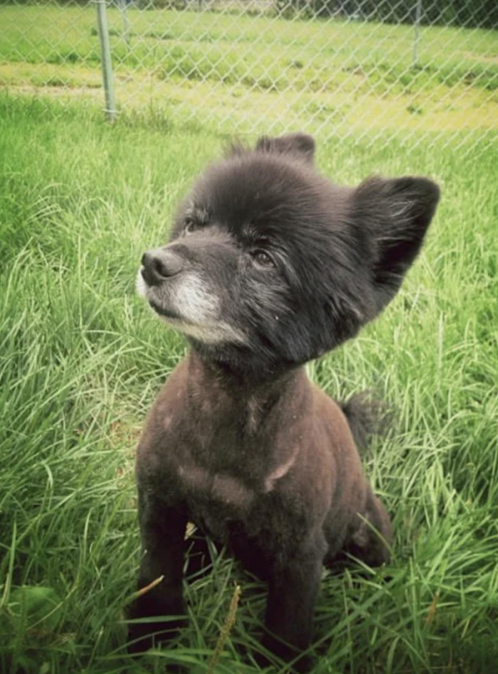 Who's a handsome boy? You are