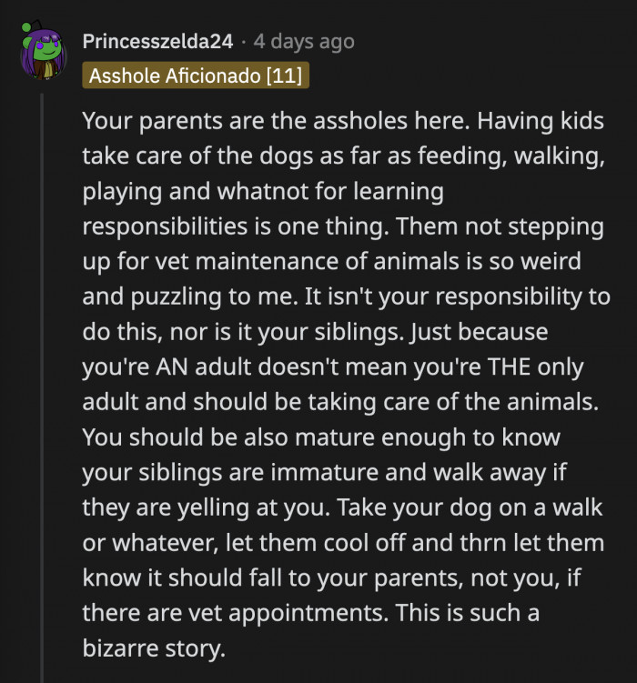 It's Not Right That OP Is Made to Act Like a Parent to Kate and Eli Just to Make Them Take Care of Their Dogs