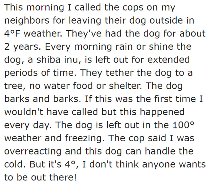 These neighbors are bad dog owners.