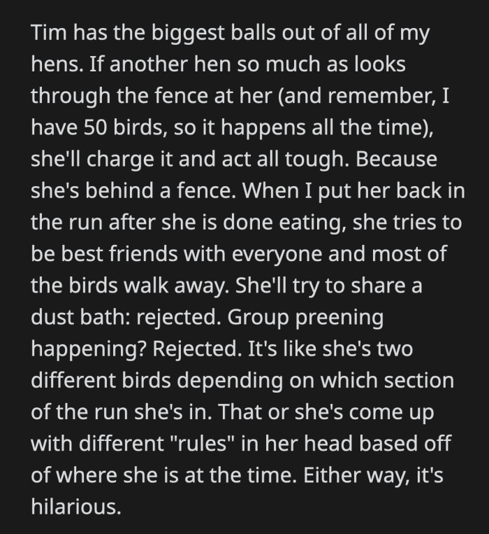 She fights any bird who dares to look at her, then tries to befriend them when sharing a space...