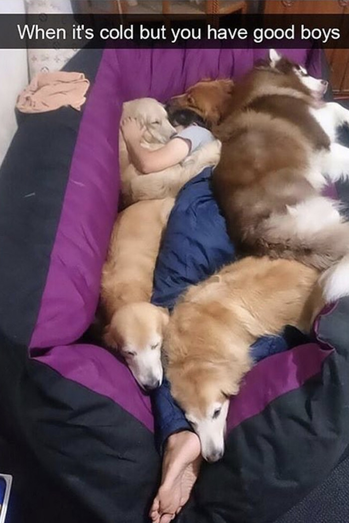 14. Good, adorable, and caring boys for that matter.