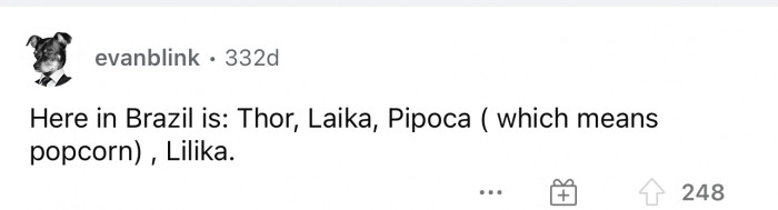 These Brazil dog names are actually really cute and give me inspiration for future pet names.