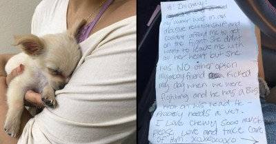 Injured Dog Found Abandoned At An Airport Bathroom With A Heart-Wrenching Note From His Owner Who Had To Leave Him After Escaping An Abusive Relationship