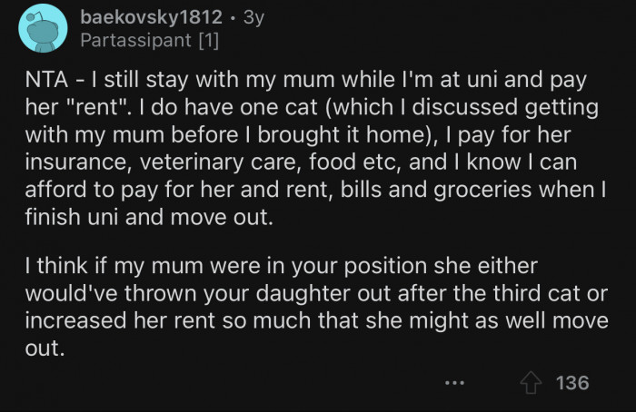 You need to be able to afford a cat before getting one. Otherwise, you shouldn't get one.