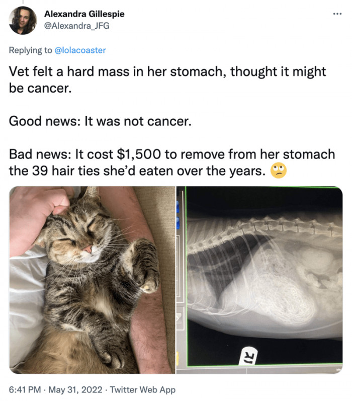 9. She's Been Eating Hair Ties for Years