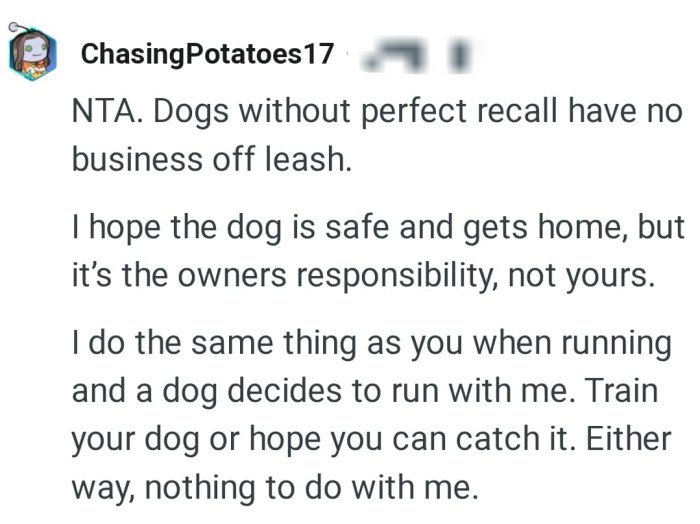 This Redditor hopes the dog is safe and returns back to its owner