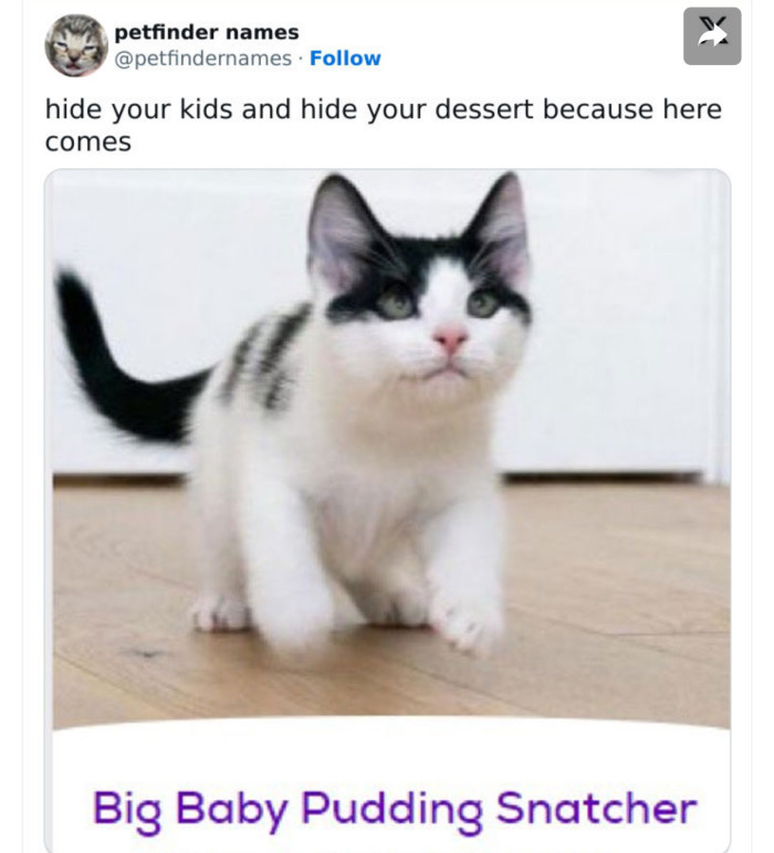 Big Baby Pudding Snatcher