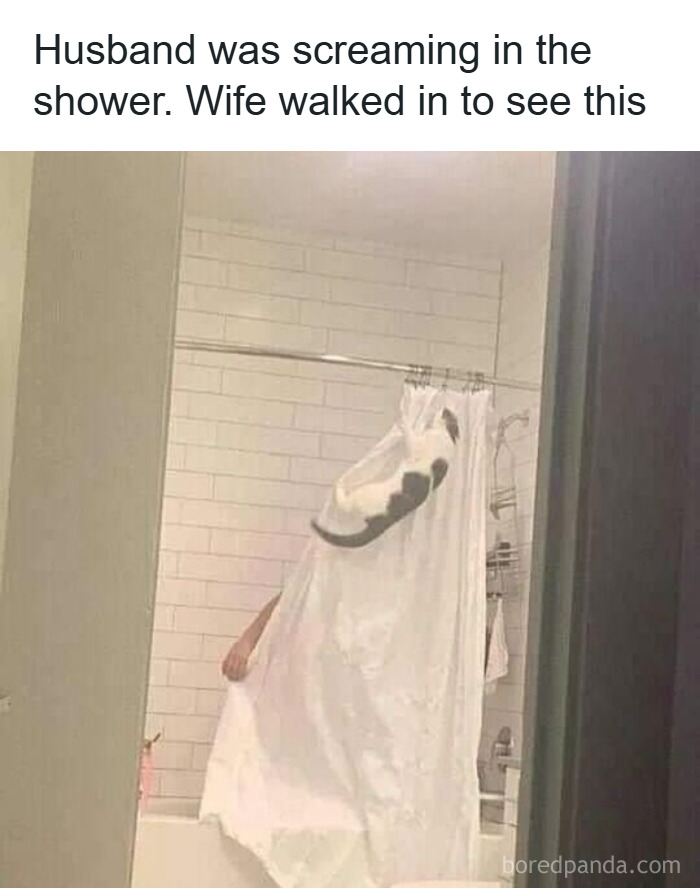 17. “Some men fight spiders. Others fight gravity and fur.”