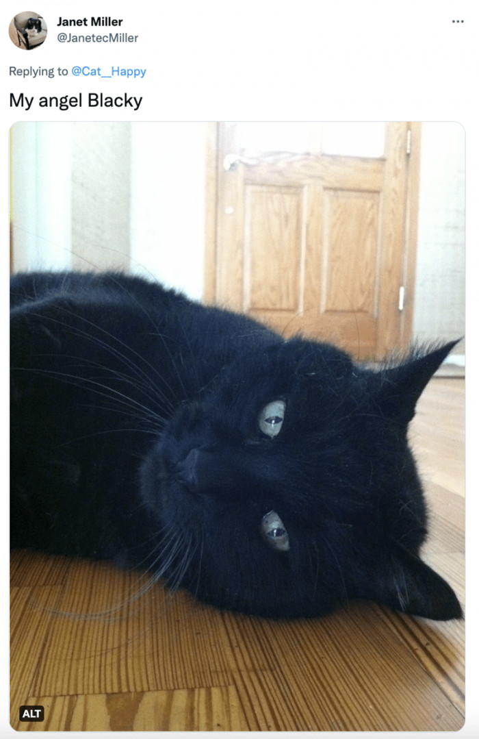 4. A perfect little angel