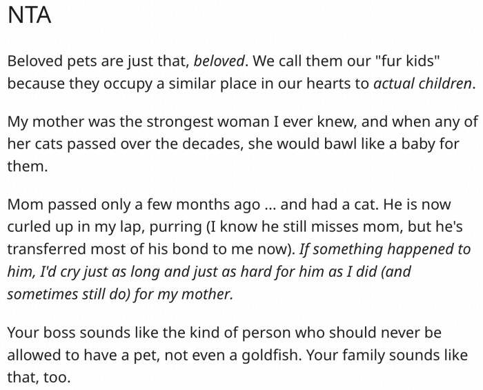20. Her boss and family do not understand that pets are like children.