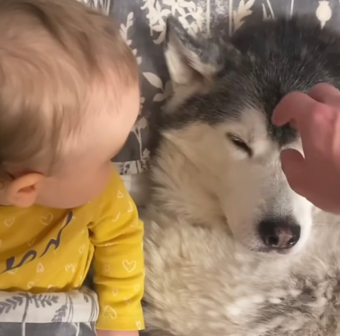 It's clear that Millie has a big heart, and she's here to protect her sister.