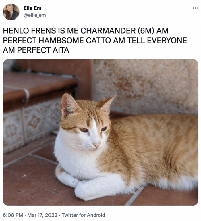 4. Oh no, handsome! You just keep staying cute