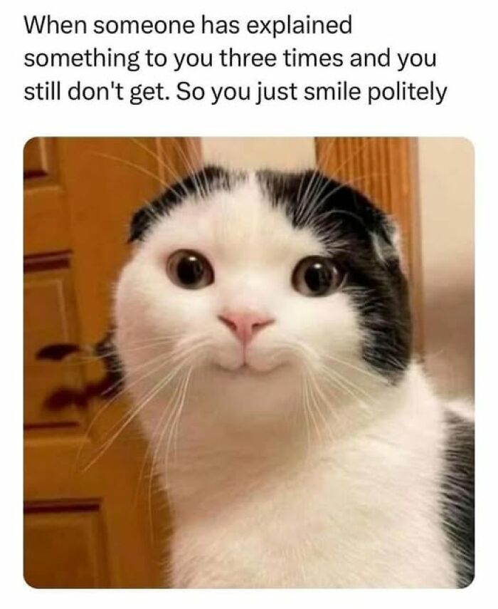 1. Just smile politely