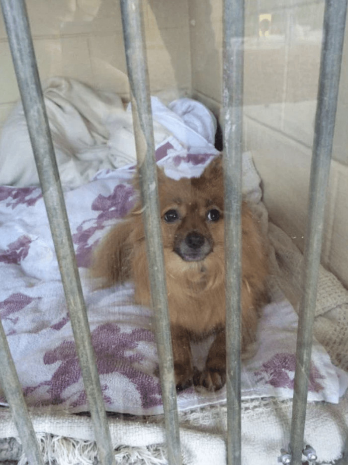 8. "Cleopatra before and after"