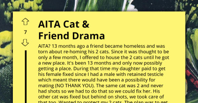 Drama Follows As Woman Wants To Keep One Of Two Cats She Houses For Her Homeless Friend