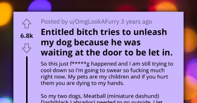 Teenager Chases After Entitled Woman And Punches Her In The Face After She Dragged Her Dog From Their Backyard