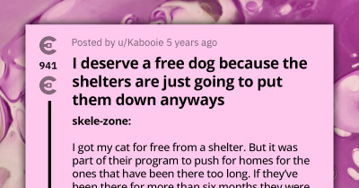 Redditors Educate Choosy Beggar Who Feels They Deserve A Free Dog Since Shelters Put Them Down Anyways