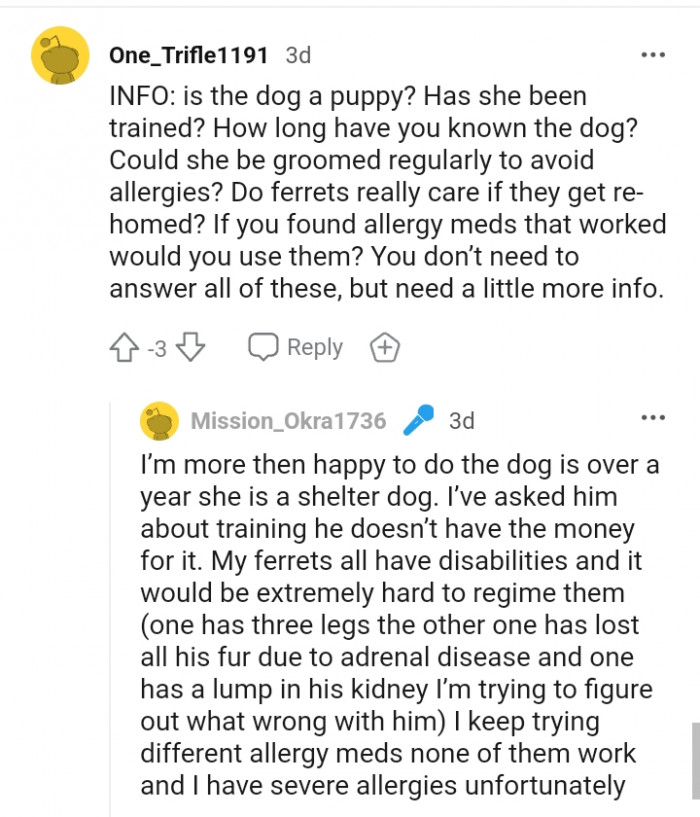 Do ferrets really care if they get rehomed?