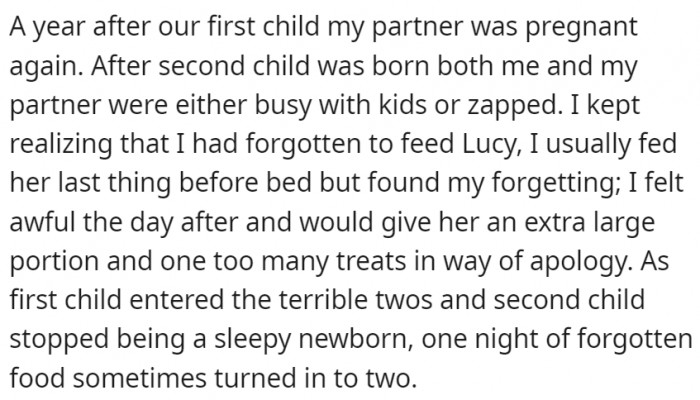 But when the couple started having kids, the dog's care took a backseat