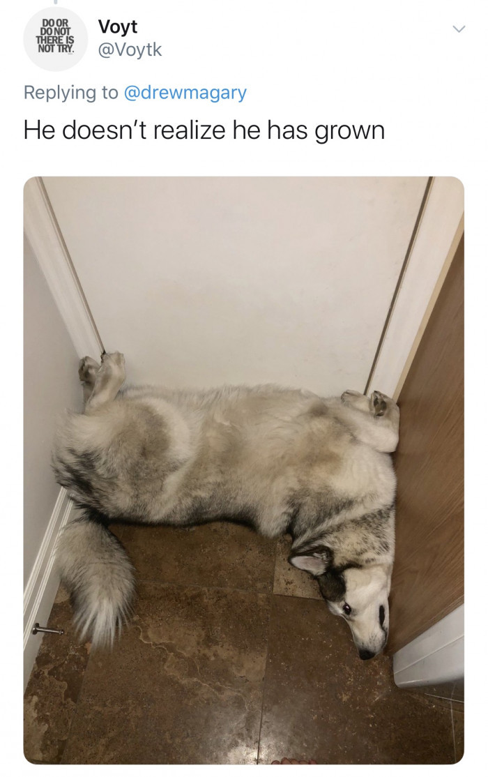 #4 Maybe he made that part of his routine?