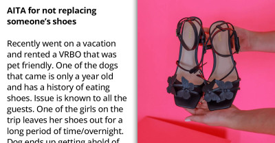 Person Doesn’t Think They Should Pay For A $200 Pair Of Shoes Their Dog Chewed, Gets Slammed By Redditors