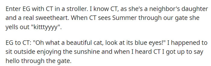 When a neighbor's toddler spotted OP's cat, CT's joyful exclamation led to a friendly exchange at the garden gate.