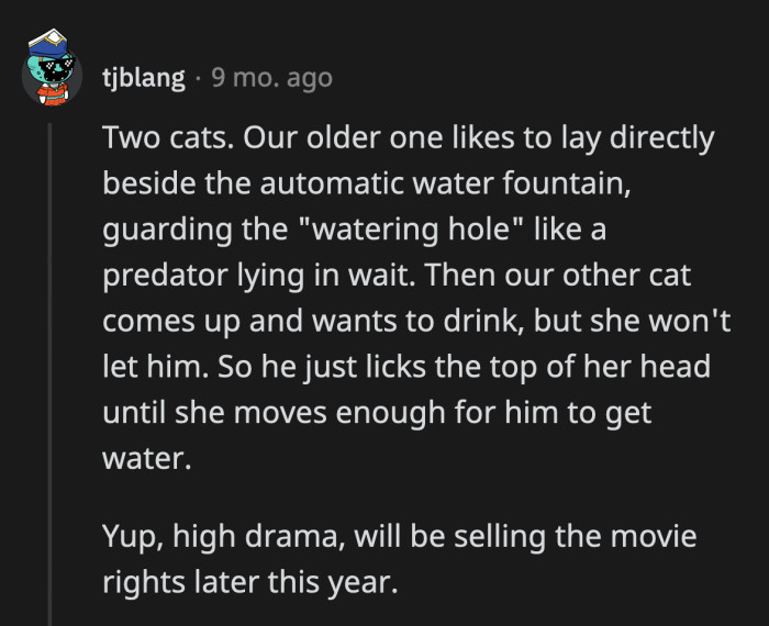 35. They're convinced they live in a dry savanna