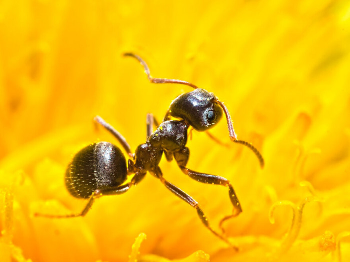 6. Isn't she just a drama queen?