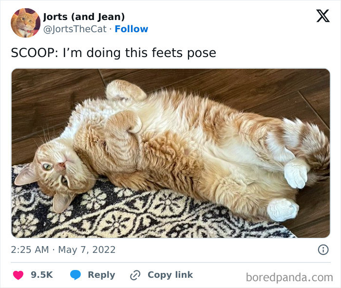 "Scoop: I’m Doing This Feets Pose"