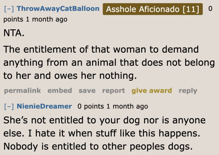 This woman is not entitled to anyone's dog.