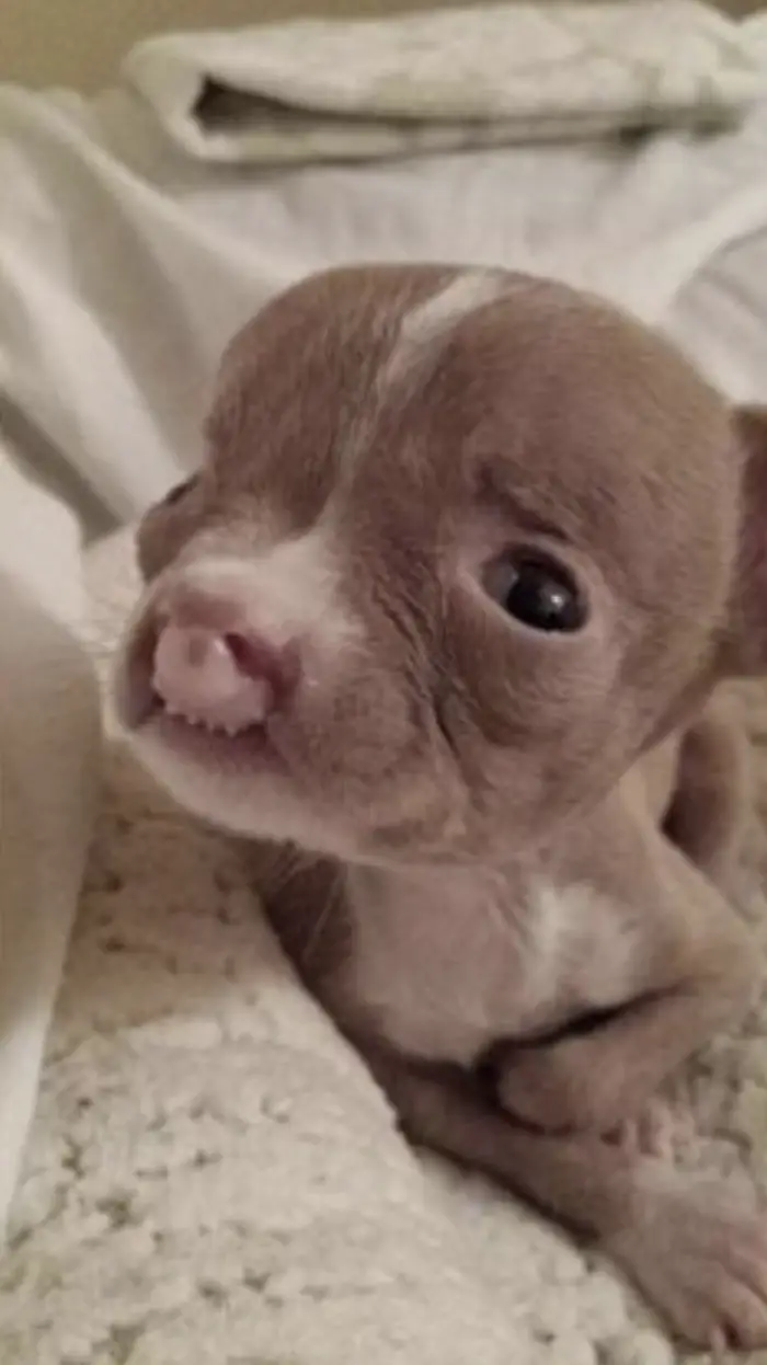 Sasha's path was far from easy