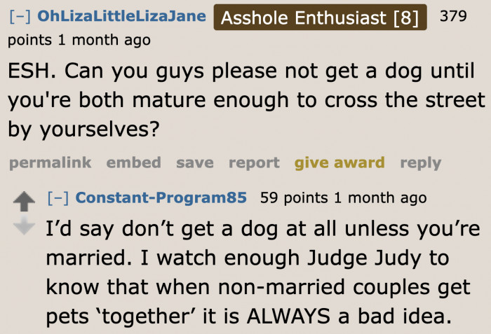 The redditors can already see the future of the dog.