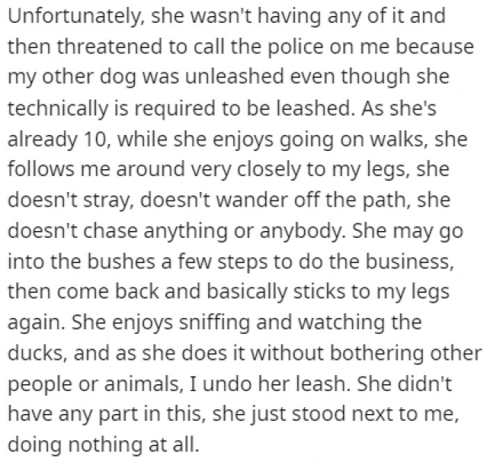 The lady noticed that the older dog wasn't on a leash and threatened to call the police, but according to OP, the police were too busy.
