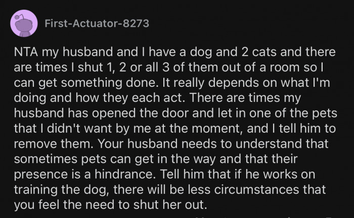 Pets can sometimes get in the way.