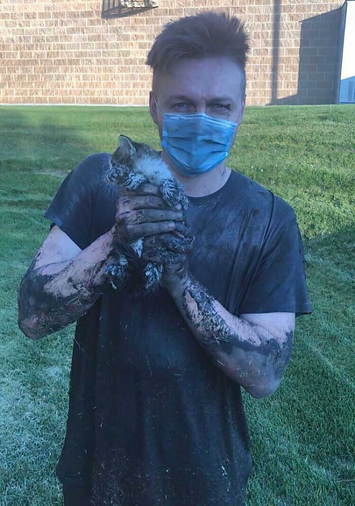 "Managed To Rescue This Little Kitten From The Sewers. I’ll Be Keeping Him"
